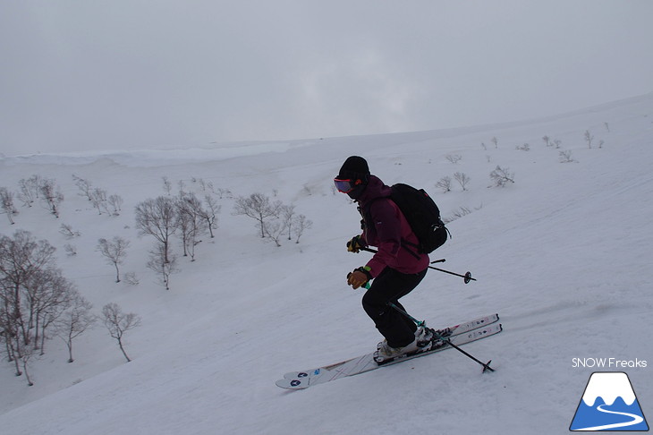 DYNASTAR SKI series Test Ride Days 2017 in ニセコユナイテッド【Day.2】～ニセコグラン・ヒラフ～